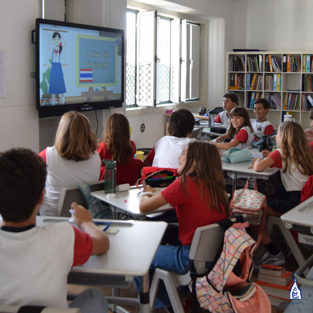 2.º e 3.º Ciclo (16)