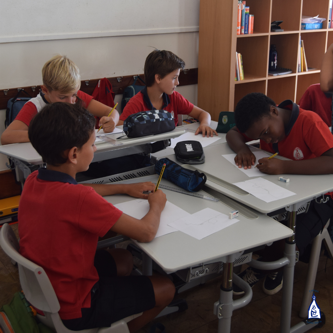 2.º e 3.º Ciclo (17)
