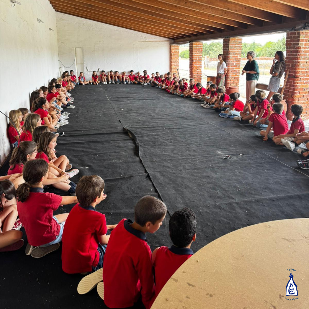 2.º e 3.º Ciclo (3)