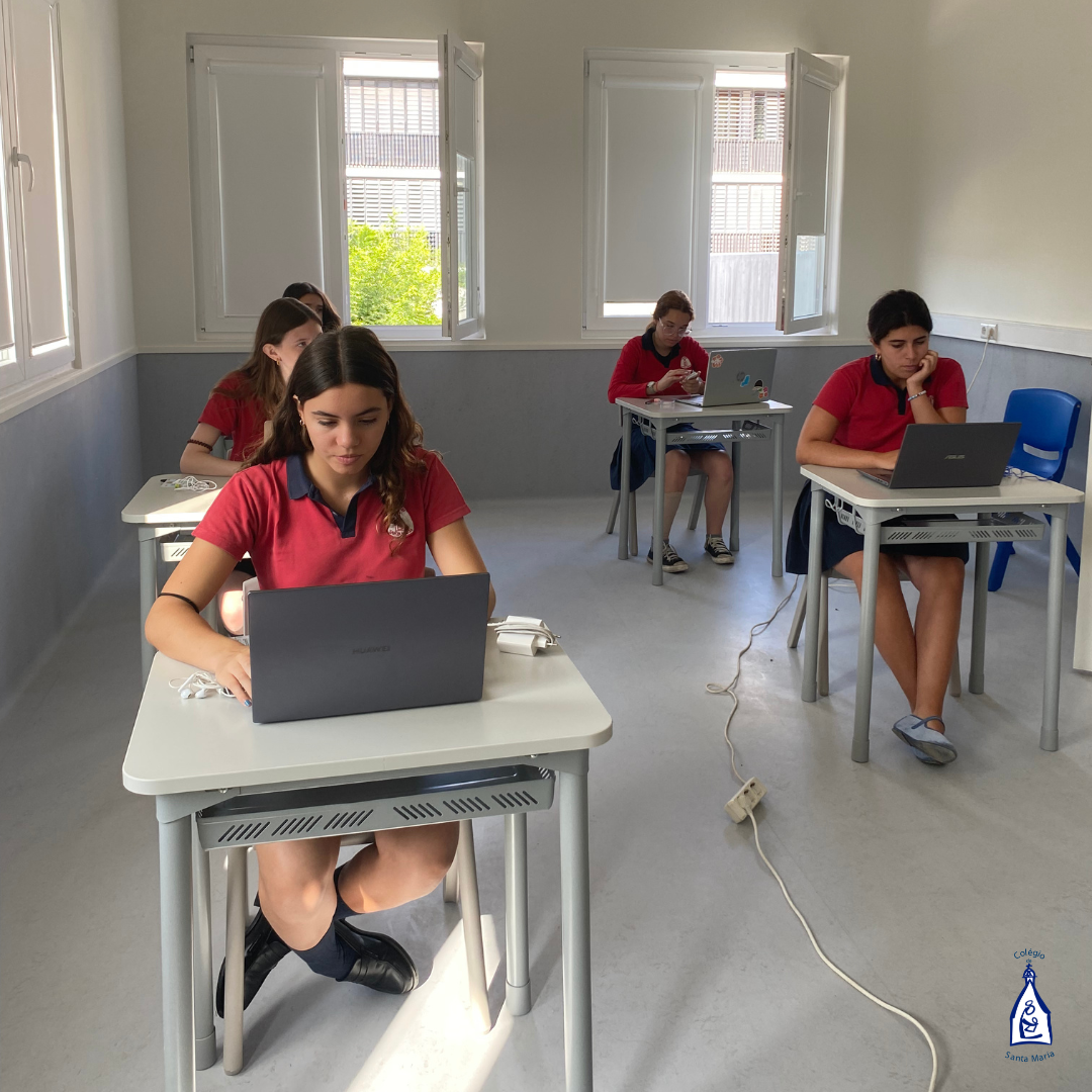 2.º e 3.º Ciclo (6)