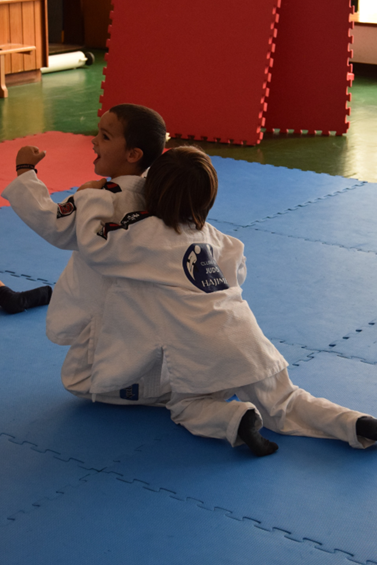 judo