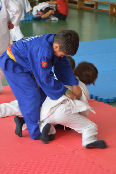 judo4